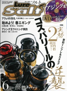 ルアーマガジンソルト 19年6月号 ソルトルアーブランド Magbite