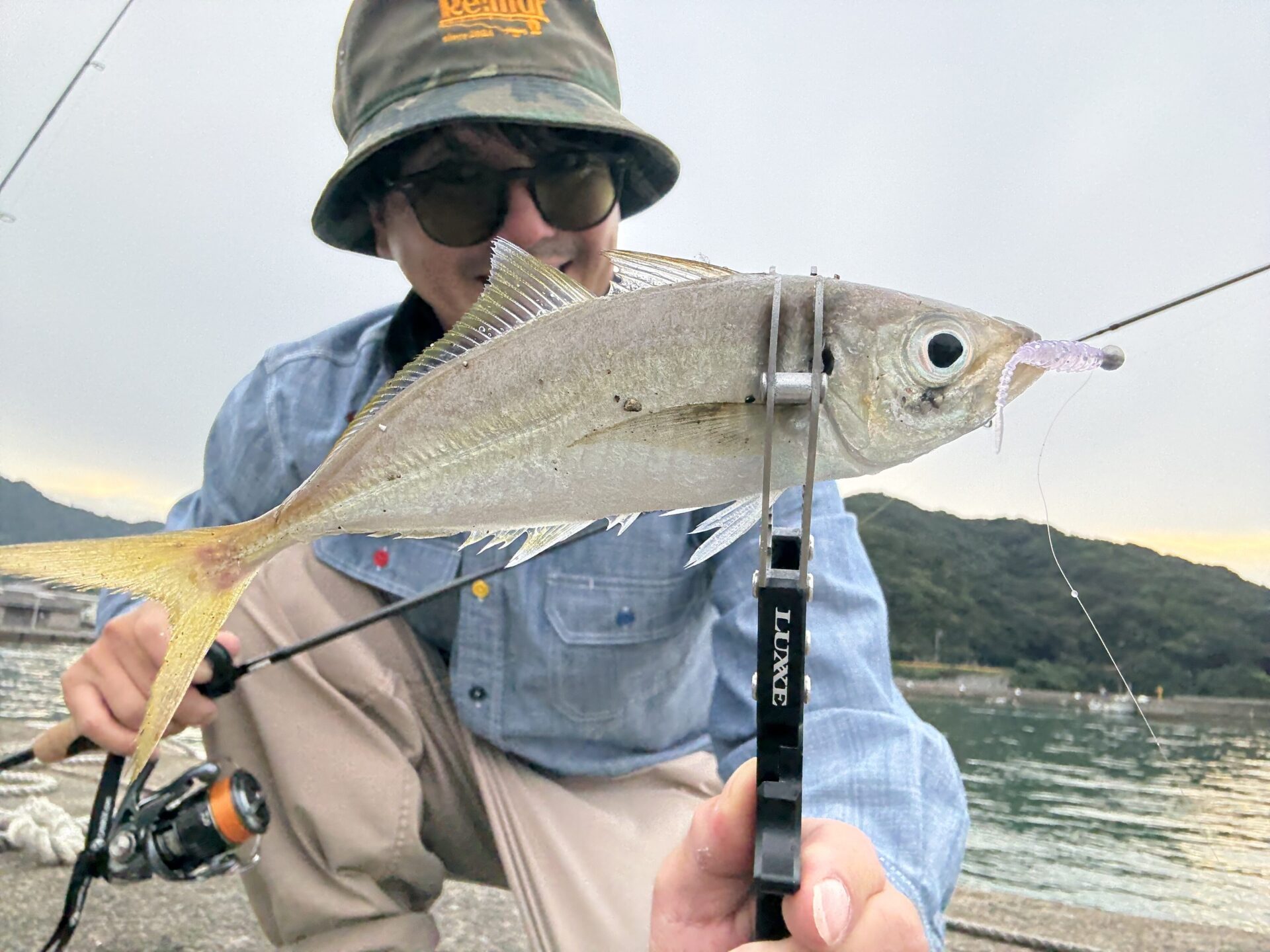 鯵がｱﾀﾘ年っぽいですね！