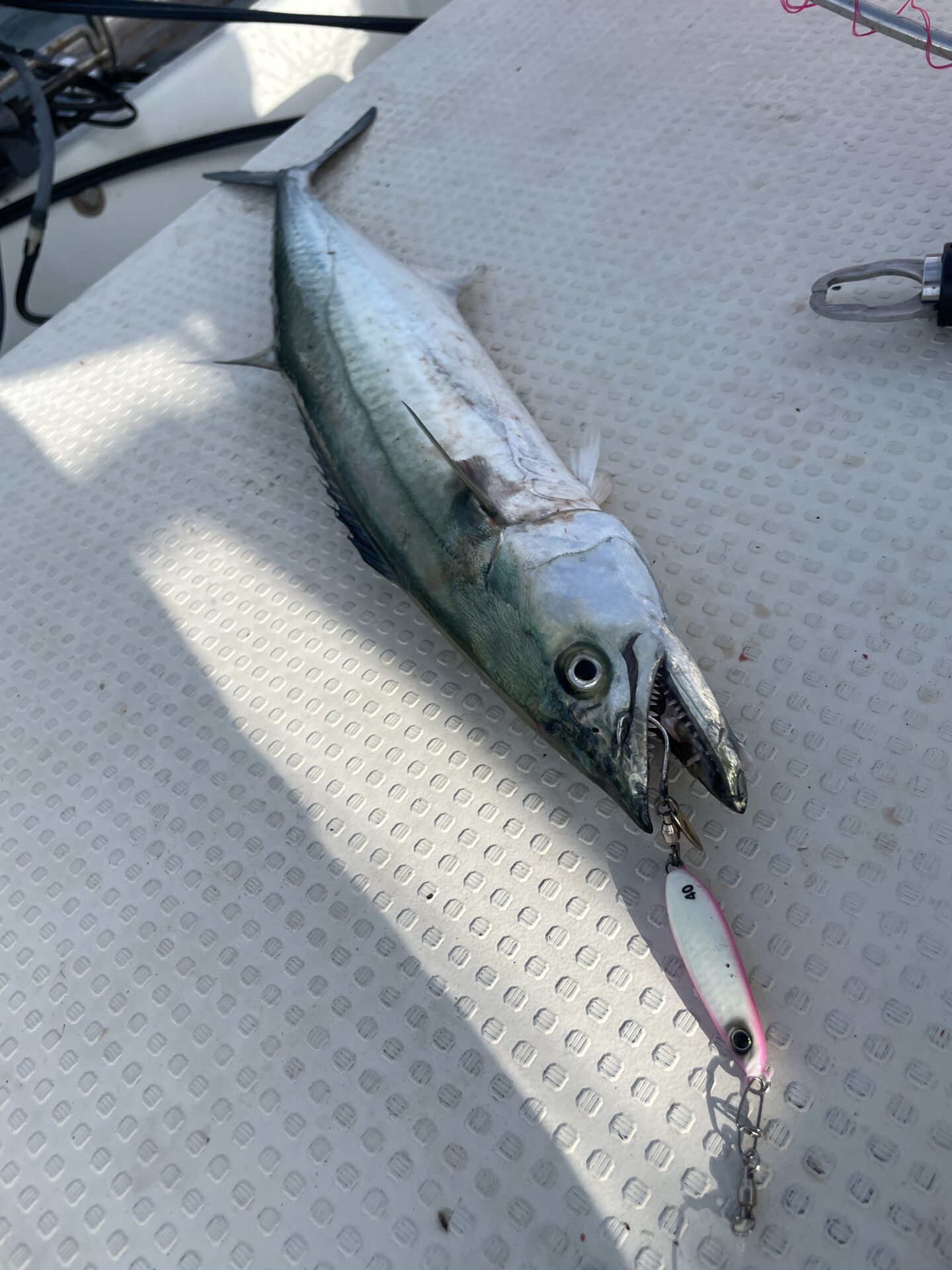 岩国沖ブレードジギング