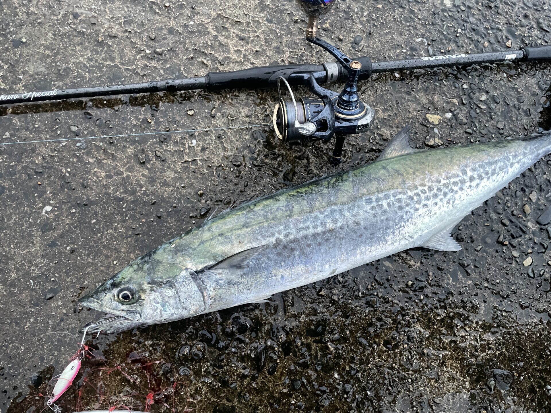 岩国ライトショアジギング