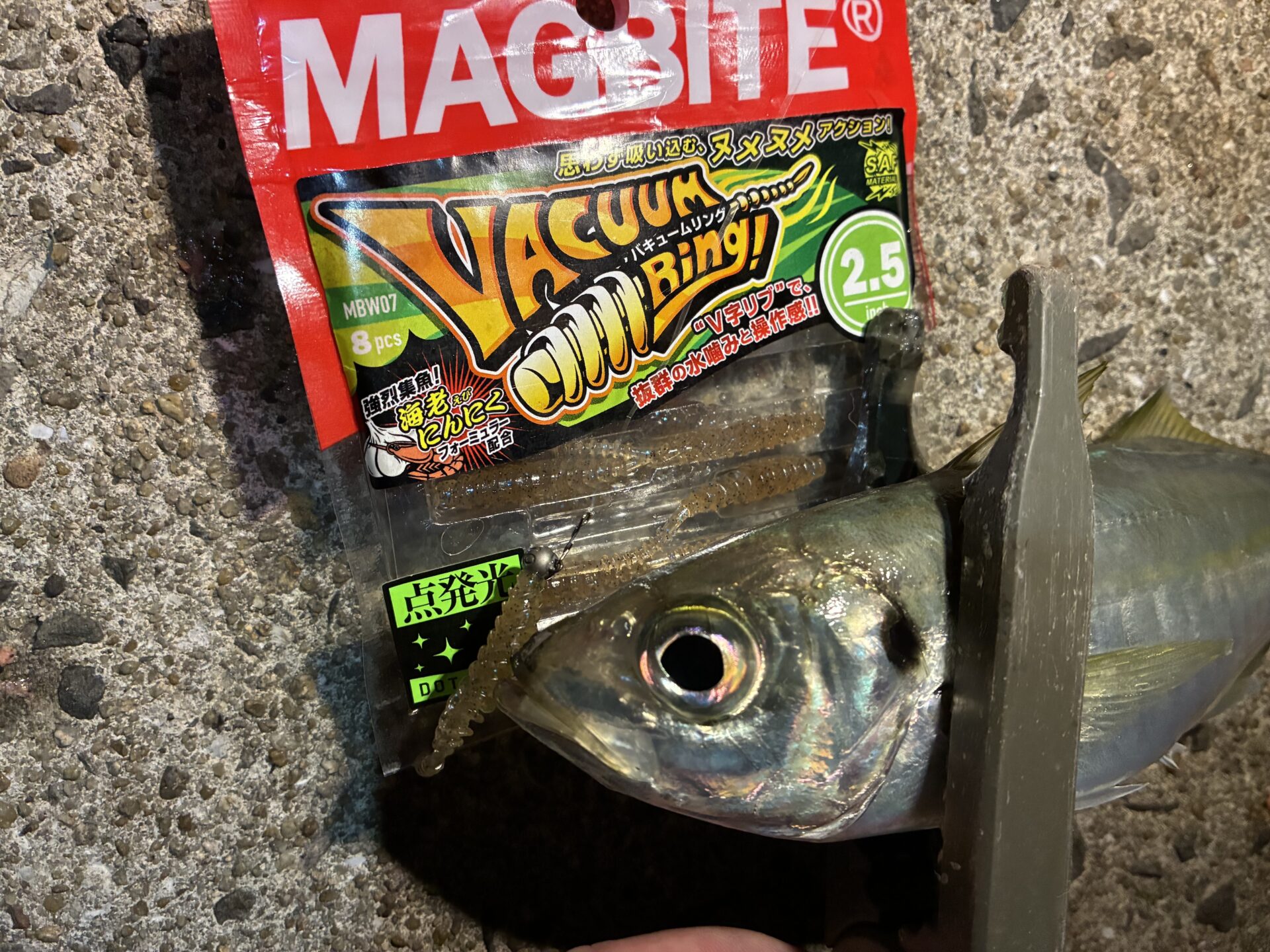 長崎のアジもマグバイト大好き！