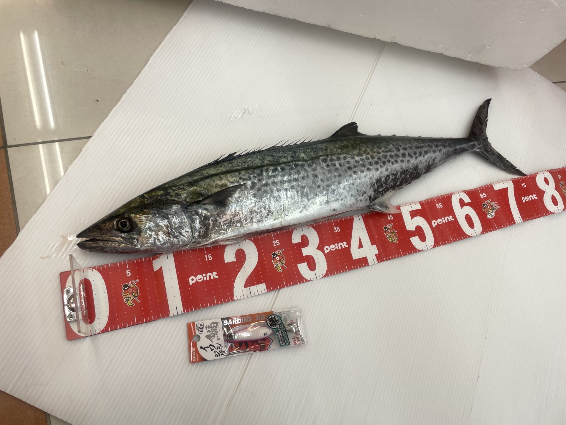 岩国ライトショアジギング