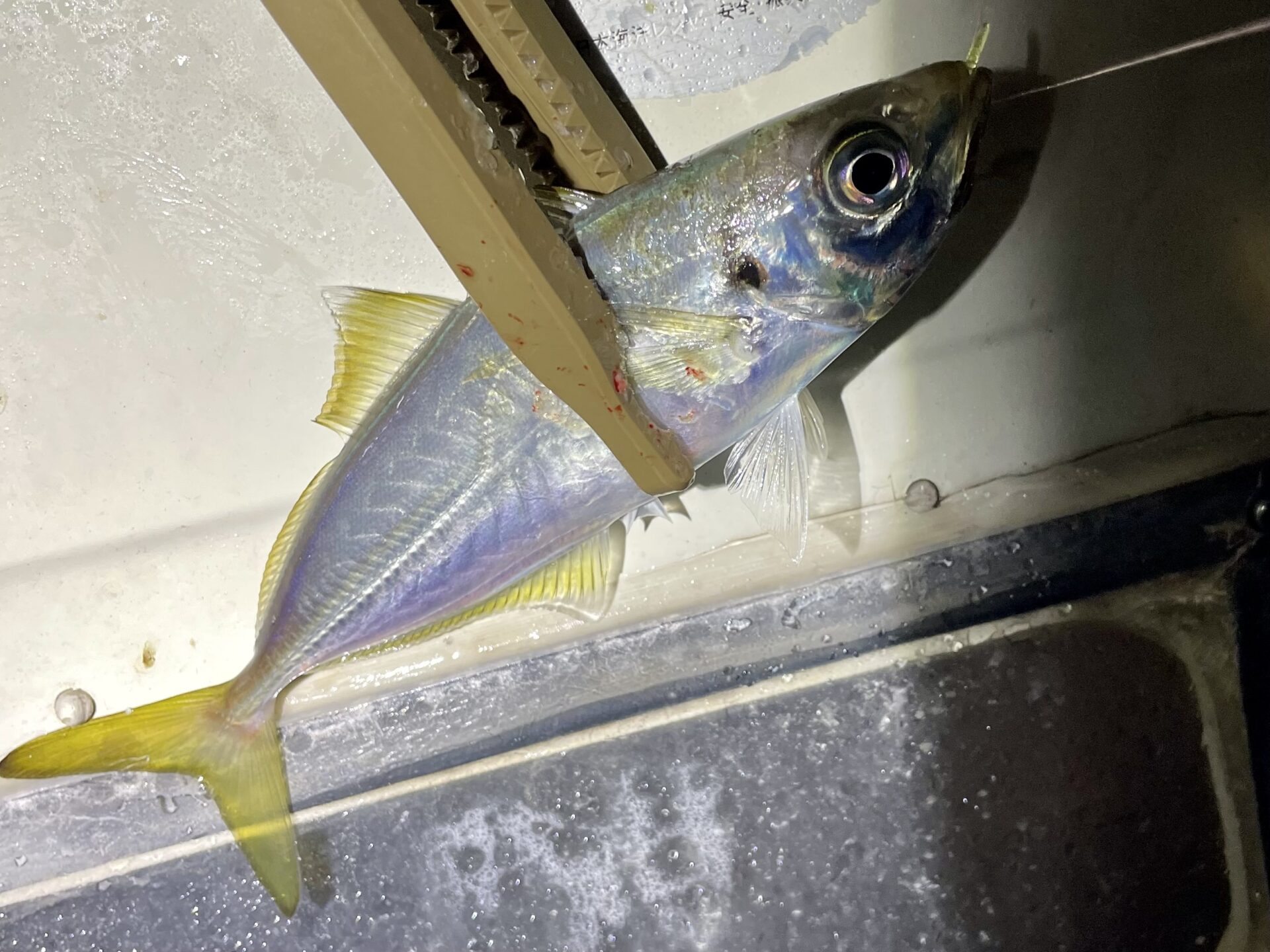 ボートアジング