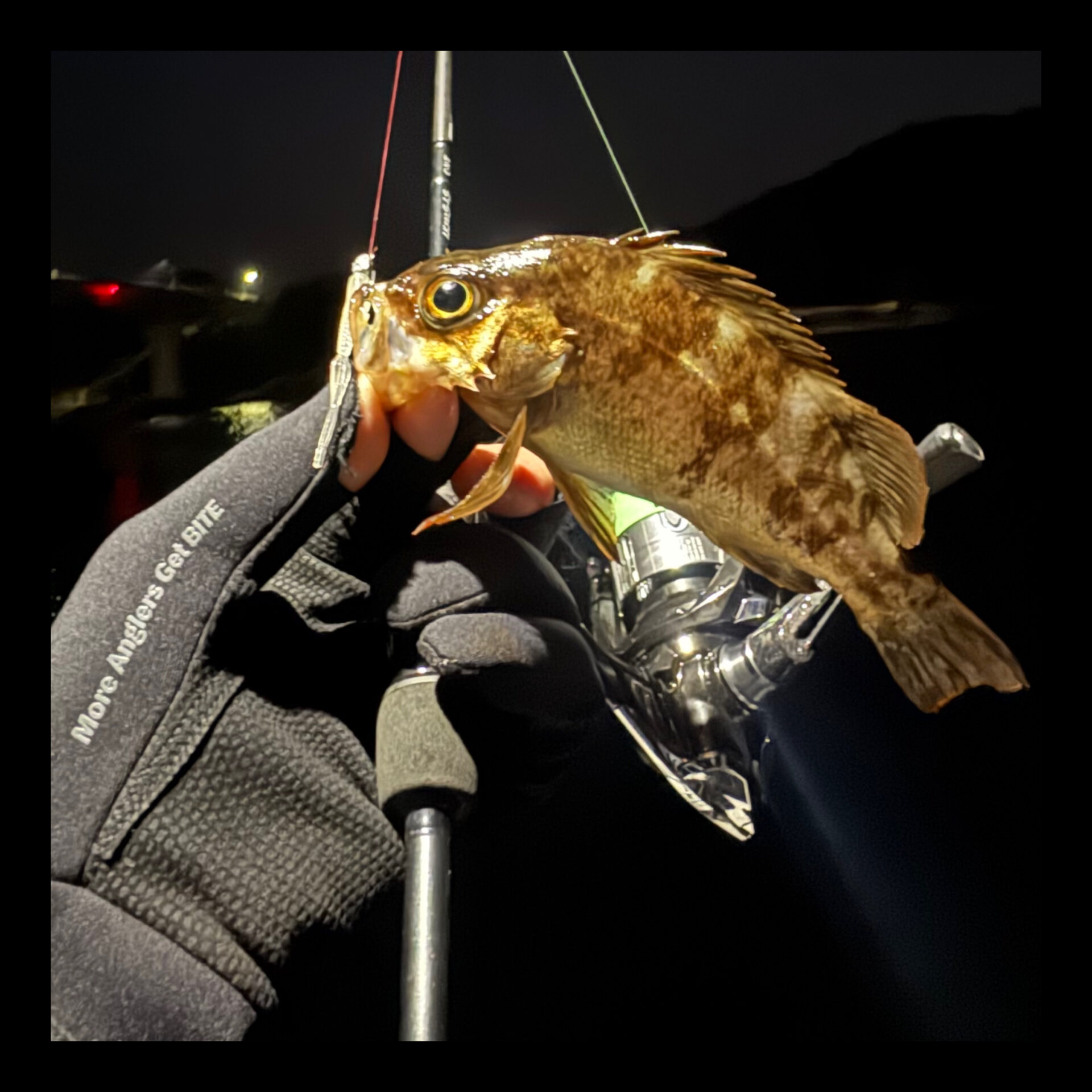 ライトゲームのつもりが！