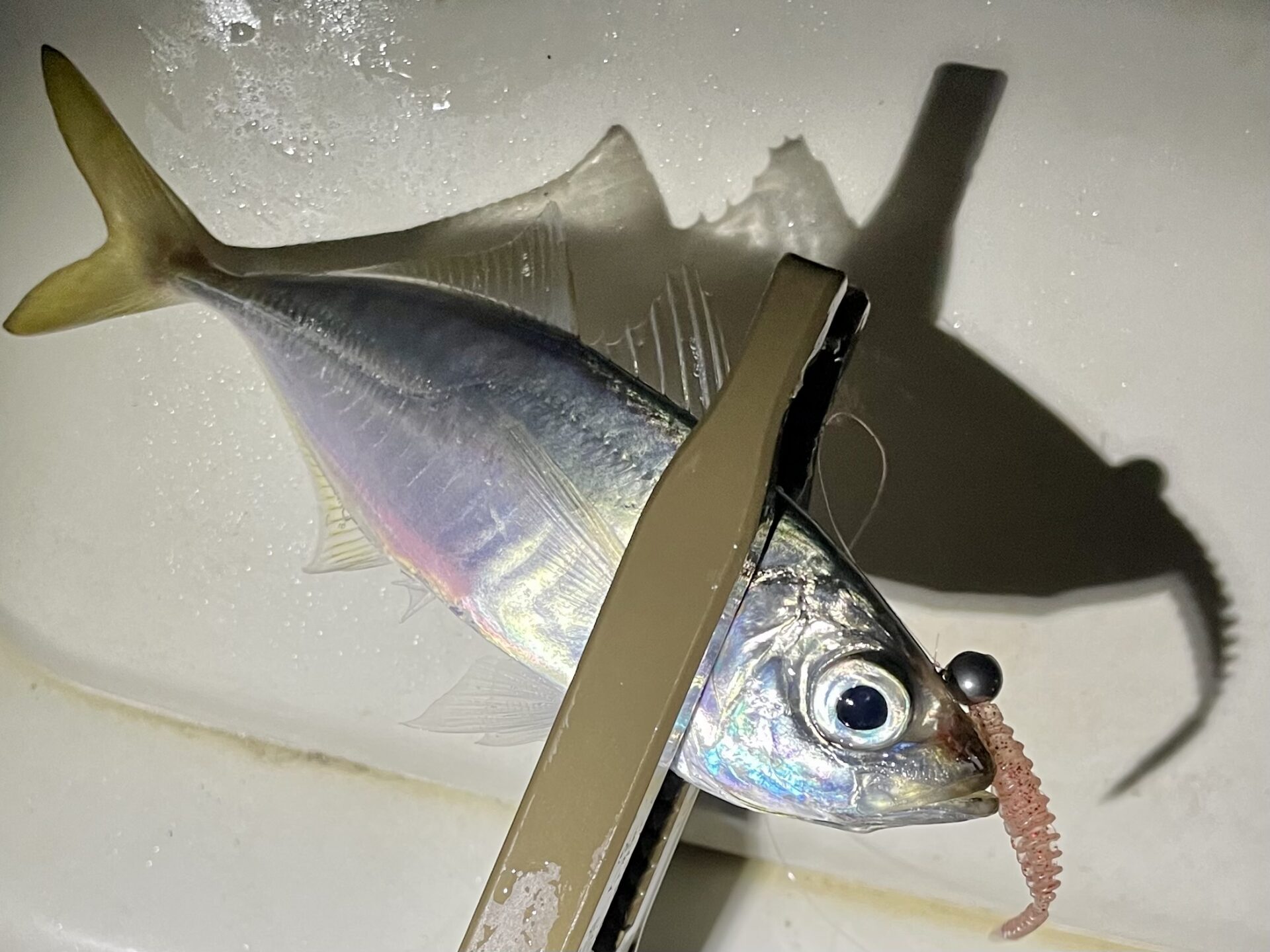 ボートアジング