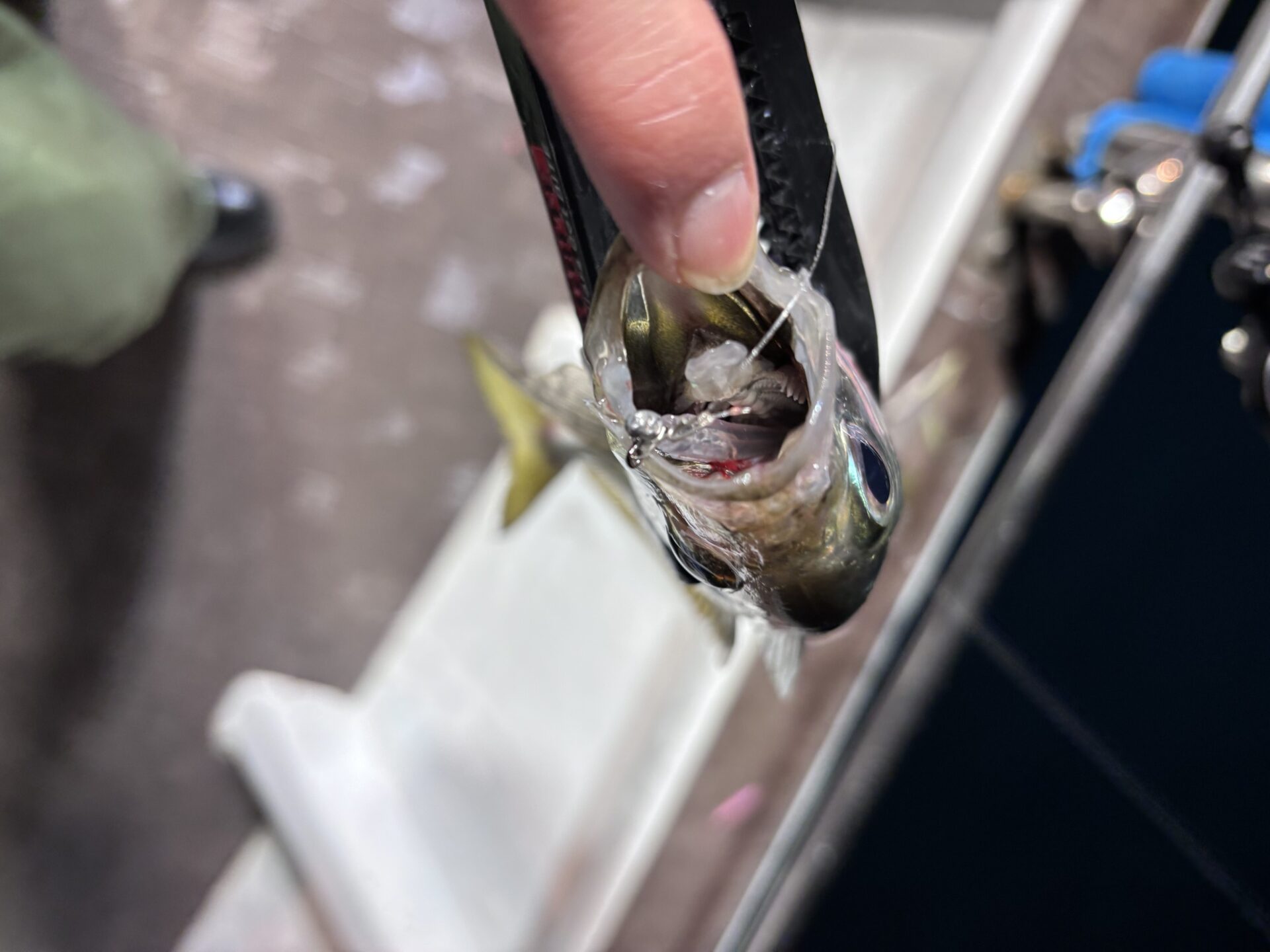 田辺バチコン❗️