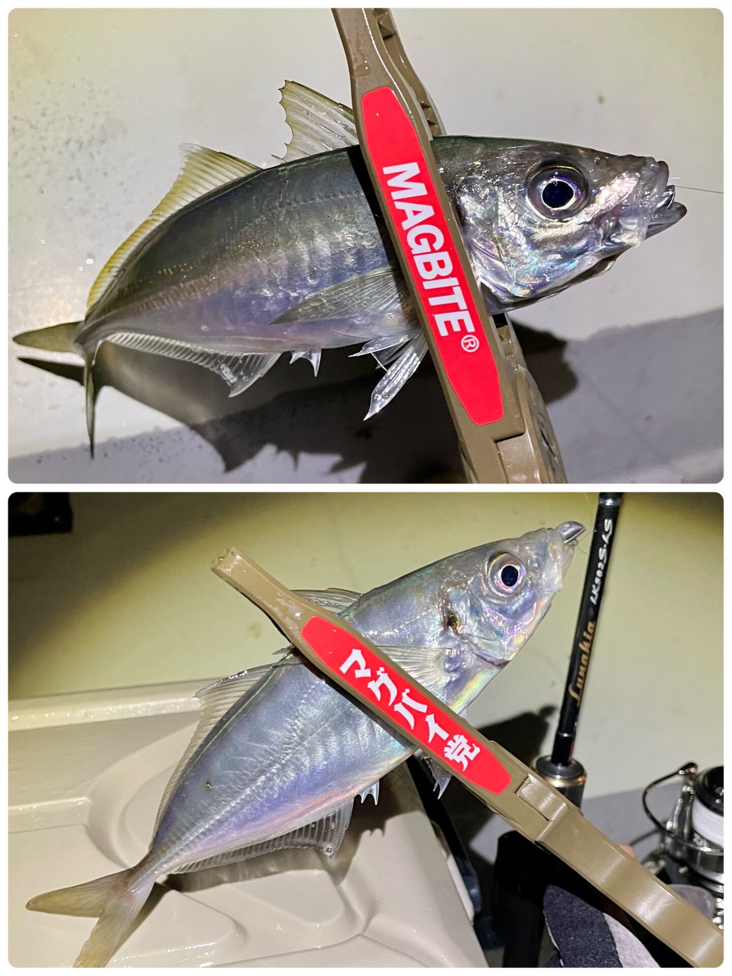 ボートアジング