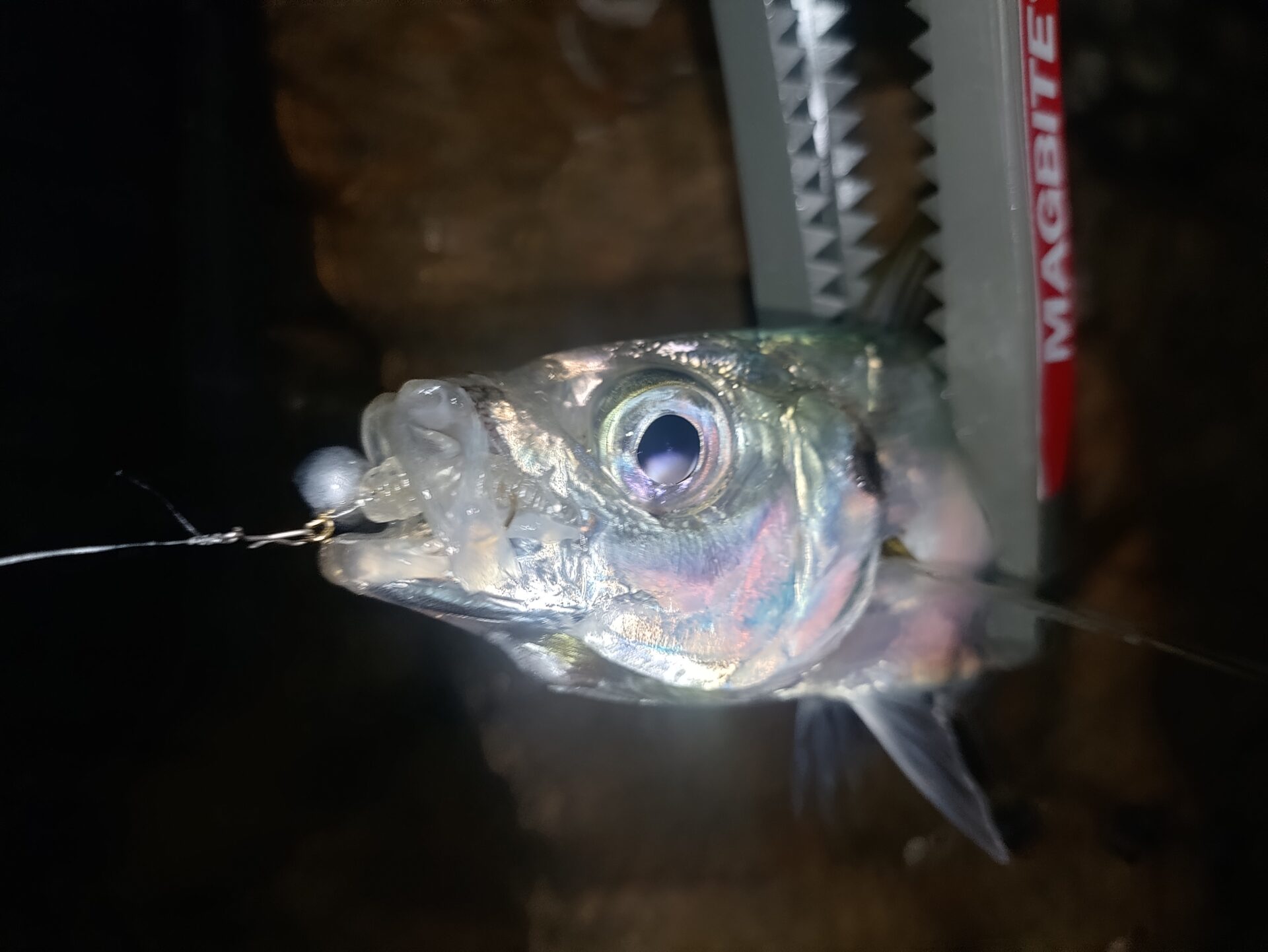 厳しいながらも