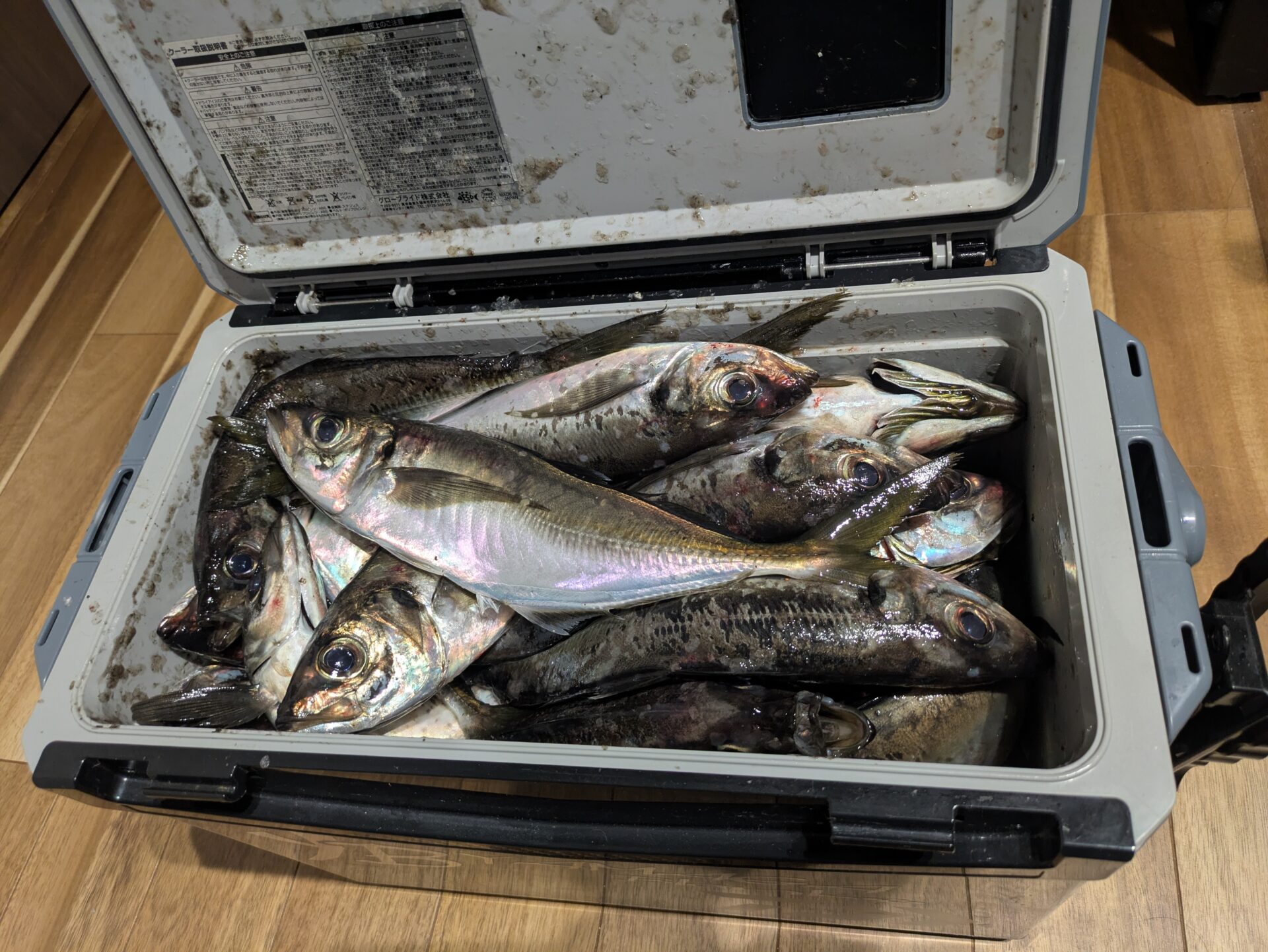 ユナイツ60リミテッド超高感度
